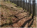 Kraljev hrib - Kapela Marije Snežne (Velika planina)